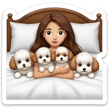 Olive skin girl with long brown hair in bed with 3 WHTE bichon frise's sticker