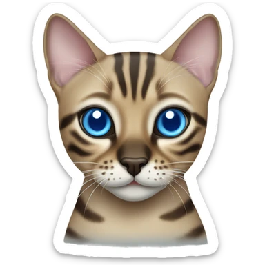 Seal Bengal cat with Blue eyes  sticker