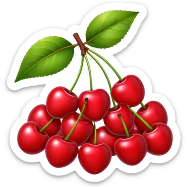 Bow and cherries  sticker