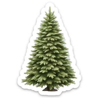 Realistic isolated off white fir christmas tree   sticker
