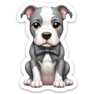 White and dark grey pitbull sitting cute with bow sticker