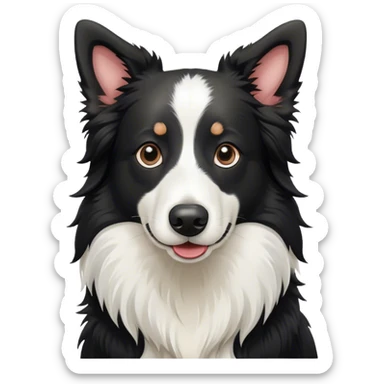 black and white border collie with long nose and fluffy chest sticker