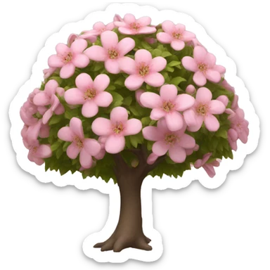  Quercus alba light pink flower tree sticker