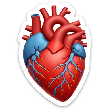 Anatomy heart on bright light  sticker