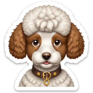 White and brown poodle wearing a collar that says Gunner sticker