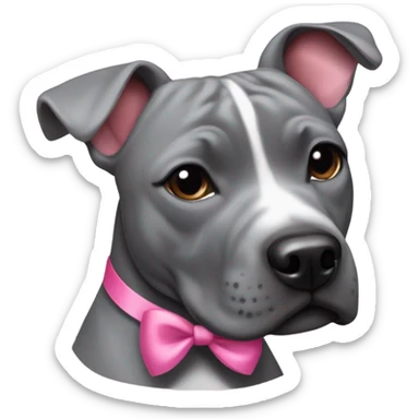 Grey staffy with pink bows in hair sticker