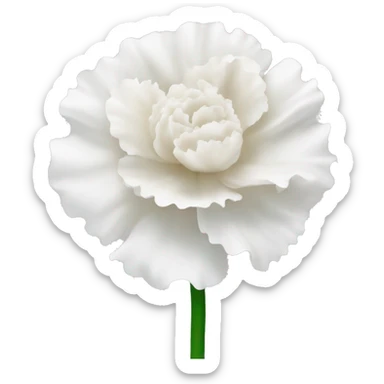 Carnation flower in white  sticker