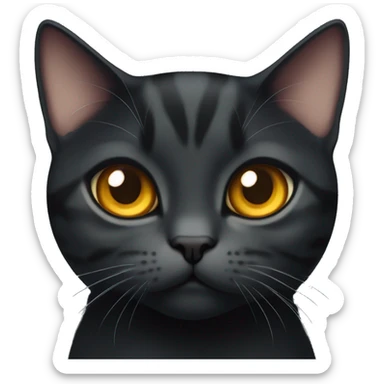 a pure black cute American shorthair cat with amber color eyes sticker