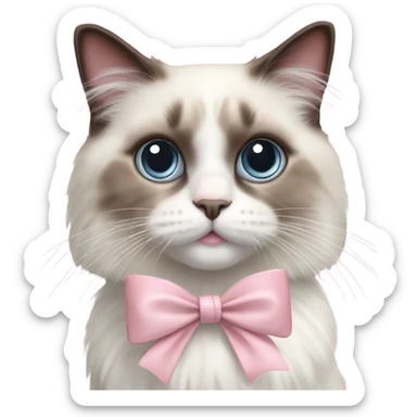 Cute Realistic ragdoll cat with pale pink bow sticker