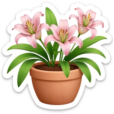 light pink lily flowers in a clay pot sticker