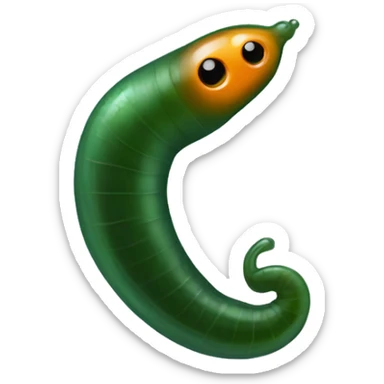 Eight-eyed Dark green and orange medicinal leech with oral suction and caudal suction sticker