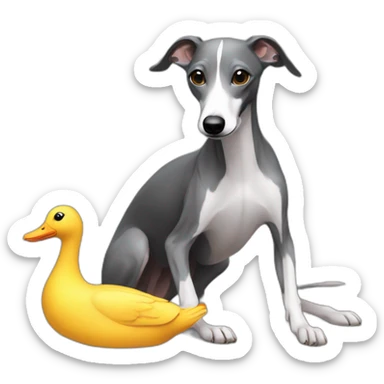 skinny all dark grey whippet eating a duck sticker