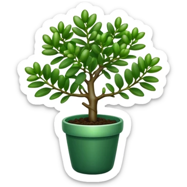 Cinematic Realistic Jade Plant Emoji, Thick and glossy, with dark green, round leaves that shine under the light. The sturdy stems and vibrant foliage give a sense of prosperity and tranquility. Soft glowing outline, capturing the essence of good luck, growth, and natural elegance in a flourishing jade plant! sticker