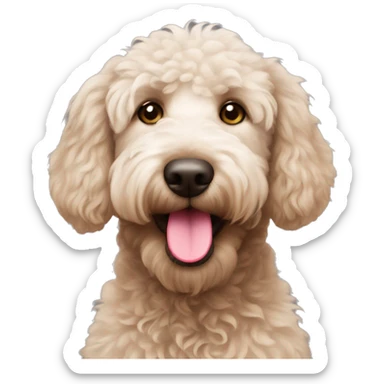 Bright pink nose on a labradoodle  sticker