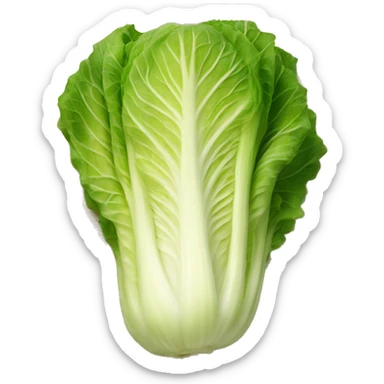 A napa cabbage marinated in a red pepper paste sticker