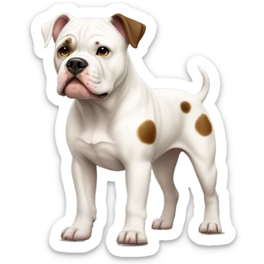 white american bulldog with brown spots full body sticker