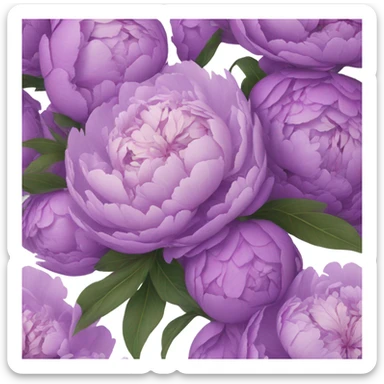 background composed of purple peonies sticker