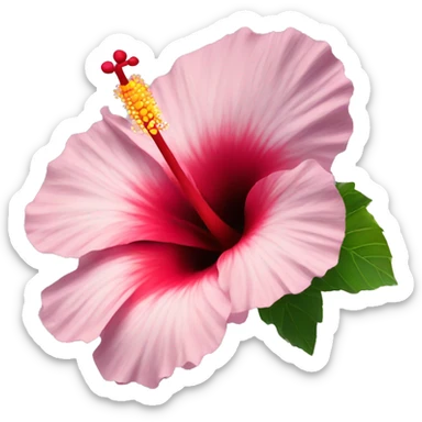 Hibiscus flower sticker