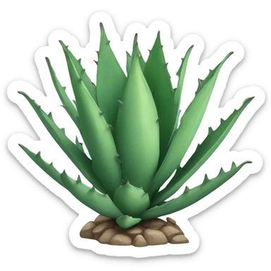 Agave sticker