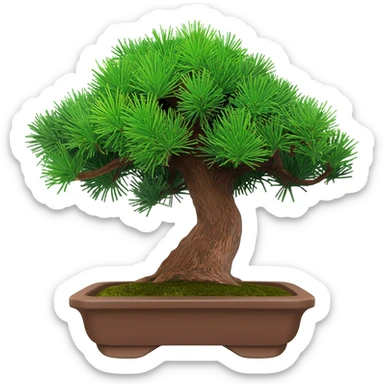 bonsai juniperus itoigawa sticker