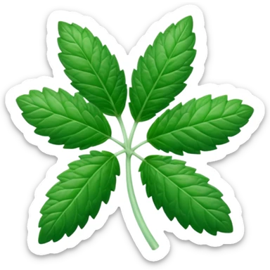 Peppermint (Mentha \(\times \) piperita)  sticker