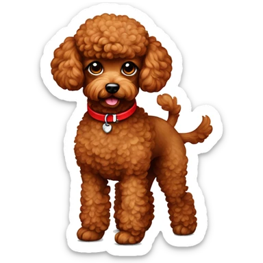 red toy poodle with red collar  sticker