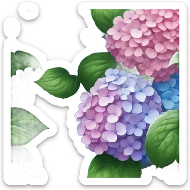 Hydrangeas sticker