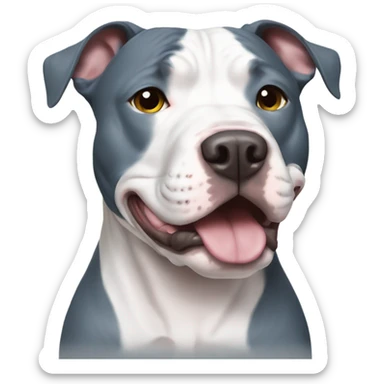 Blue nosed pitbull sticker