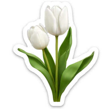 white tulips sticker
