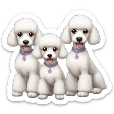 three-white-little-poodles sticker