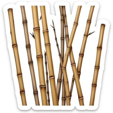 dried bamboo stalks, tan and brown color, cracked texture sticker