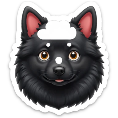 Schipperke sticker