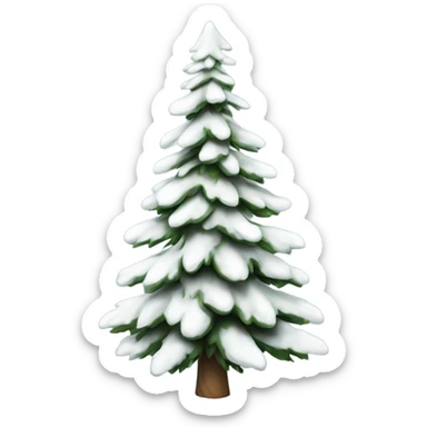  actual white fir christmas tree isolated.  sticker