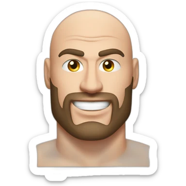 tyson fury but as a thief sticker