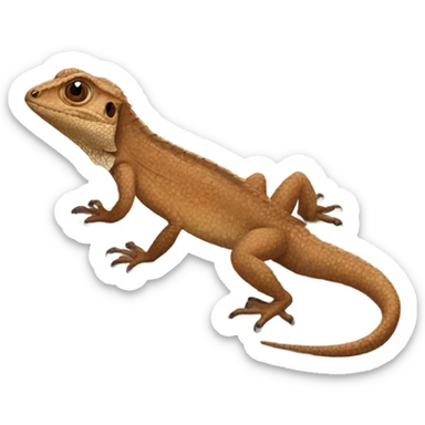 brown lizard sticker