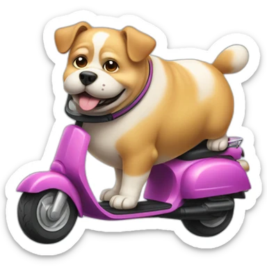 fat dog on scooter sticker