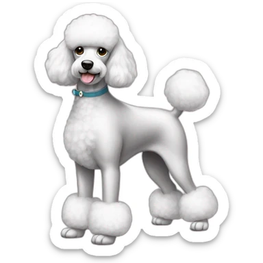 Dog Standart Poodle full body sticker