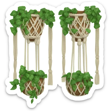 3 hanging pots in macrame plant holding with ivy in each pot  sticker