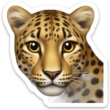 Chat sur un léopard sticker