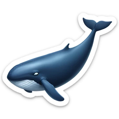 Whale  sticker