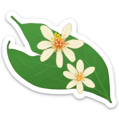 ashwagandha leaf and flower sticker
