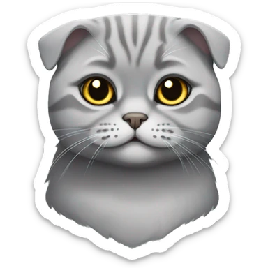 Grey Scottish fold cat sticker