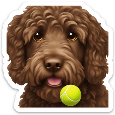 Chocolate labradoodle with tennis ball sticker