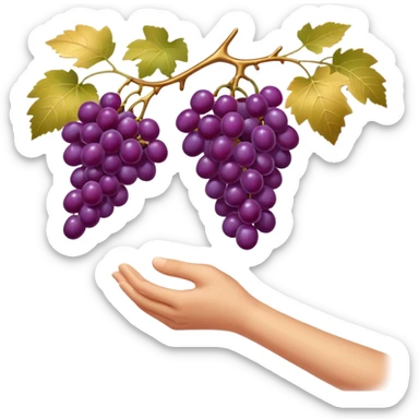 clean emoji style one hand gently picking glossy purple grapes from a vine golden sunlight minimalist luxury soft shading sticker