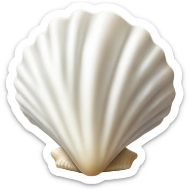 white seashell sticker