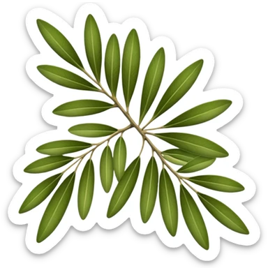olive leaves sticker