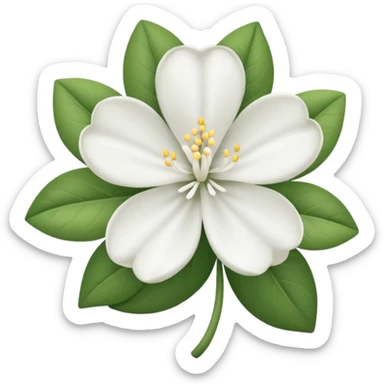 philippine national flower sticker