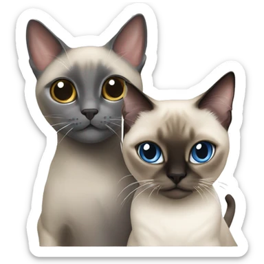 Siamese cat playing with a British gray cat sticker