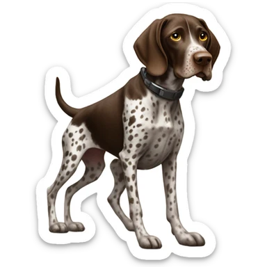 German shorthair pointer on a dirt bike sticker