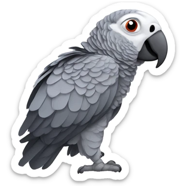 african grey parrot sticker